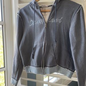Disneyland Zip-Up Blue Hoodie